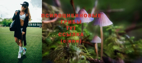 ECSTASY Абинск