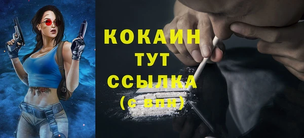 прущие грибы Абаза