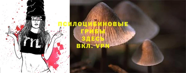 ECSTASY Абинск
