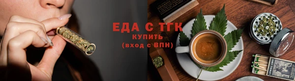 прущие грибы Абаза