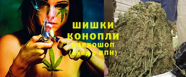 прущие грибы Абаза