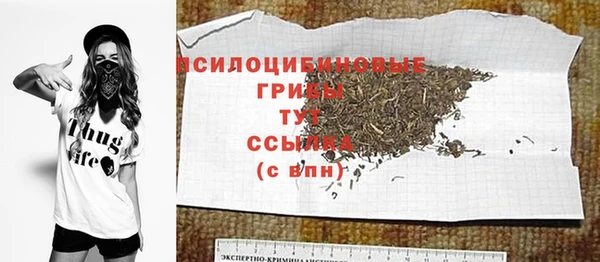 прущие грибы Абаза