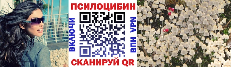 Псилоцибиновые грибы Psilocybe Алапаевск