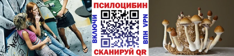 Галлюциногенные грибы Cubensis ОМГ ОМГ tor Алапаевск купить закладку